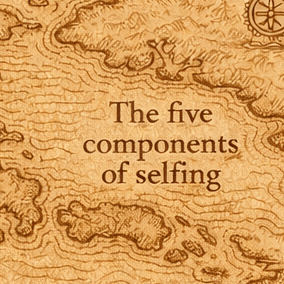 54 – The schematics of the navigator